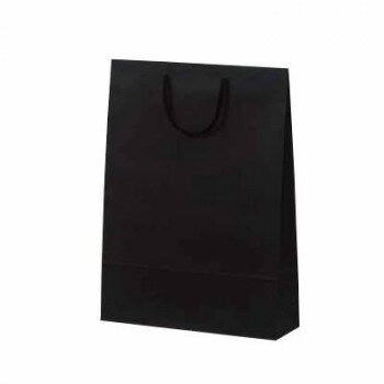 カラークラフト手提袋 T-8 ブラック 1039 10枚