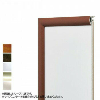 アルナ アルミフレーム デッサン額 YFM 正方形700角　インディアンレッド・16071