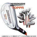 デリンジャートッパ(突破)タラコアイアン 10番 シャフト硬度SR DTT-10(SR)