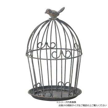 友膳 ラカージュ MDGY UF628