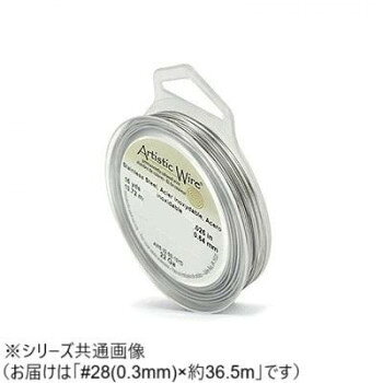 AW ワイヤー（オールドスプールス） ステンレススティール28(0.3Φ) 28（0.3mm）約3...