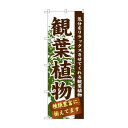 のぼり GNB-1071 観葉植物