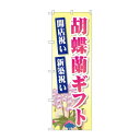 のぼり GNB-2528 胡蝶蘭ギフト