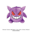 ポケットモンスターポケットティッシュマスコット(ゲンガー)N