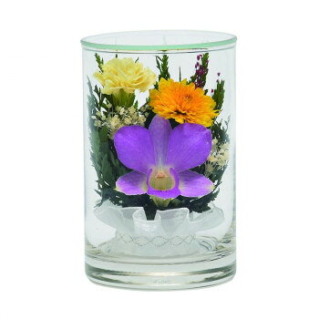 花に埃がかからないガラスに閉じ込めたドライフラワーです。サイズ約直径63×高さ100mm個装サイズ：10×10×14cm重量約200g個装重量：220g素材・材質ガラス、ドライフラワー生産国タイfk094igrjs