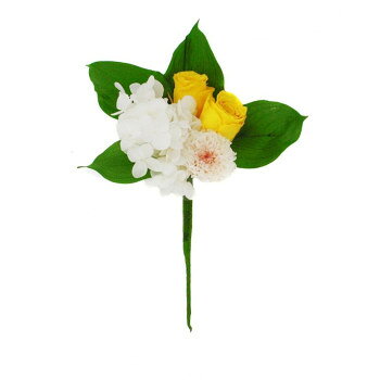 美しさが長持ちするプリザーブドフラワーお手入れ不要で花の美しさが長持ちするプリザーブドフラワーです。ルスカス、ローズ、小菊、アジサイなどを使用しました。プリザーブド加工されているので、水やりは不要で日光を気にせずに飾ることができます。※手作りのため、大きさに多少の違いがでる場合があります。花の色味、花材の一部が変更になる場合がございます。※花器は付属していません。サイズ個装サイズ：13×27×6cm重量約20g個装重量：120g素材・材質プリザーブドフラワー生産国日本fk094igrjs