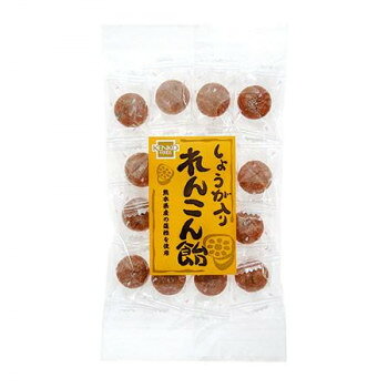 健康フーズ　生姜入りれんこん飴60g×10　1224