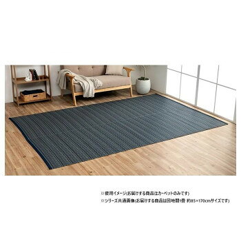 おすすめ細いストロー状のような素材を細いパイプ状にして織り込んだ敷物。強度が高くしっかりとしています。カビが発生しにくい素材なので、ダニなども寄り付きにくいです。一般的な除菌スプレーで拭いても色落ちせず、常に清潔な状態を保つことができます。リビング、お子様のお部屋など様々なシーンで活躍します。※掲載写真は表記サイズと異なる場合がございます。※画面上のカラーはご使用ブラウザやモニターの設定により、実物とは若干異なる場合がございます。サイズ団地間1畳(約85×170cm)個装サイズ：50.0×90.0×2.0cm重量個装重量：900g素材・材質ポリプロピレン100%仕様水洗い可カラー:ネイビー生産国日本fk094igrjs