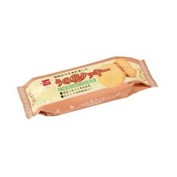 健康フーズ　卵・バター不使用　うの花クッキー　80g×10　1384