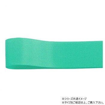 タフタ織りの固めの風合いが特徴タフタ織りの固めの風合いが特徴です。いったん結ぶと緩みにくく、多くのお客様にお選びいただいているラッピングリボンです。裏表がないため、蝶結びもしやすい商品です。サイズ幅:24mm、長さ:100m個装サイズ：5×15×15cm重量個装重量：80g素材・材質アセテート生産国日本fk094igrjs