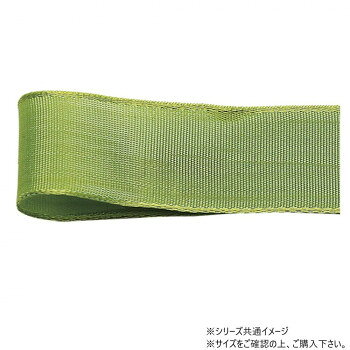 ワイヤー入りで使いやすい縦糸と横糸で異なる色の糸を織り込んでいる為、光の角度によってユニークな色の演出をします。ワイヤー入りで使いやすいリボンです。サイズ幅:40mm、長さ:12m個装サイズ：5×15×15cm重量個装重量：50g素材・材質アセテート生産国日本fk094igrjs