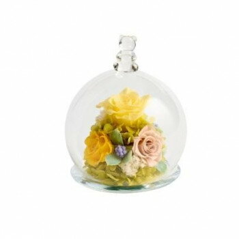 ガラスの中の小さな世界ガラスドームで包まれているので全方向から眺められます。※ガラス蓋は固定されていません。サイズ品寸:Φ12×H15cm、内箱:W15×H17.5×D15cm個装サイズ：12.0×12.0×15.0cm重量400g個装重量...