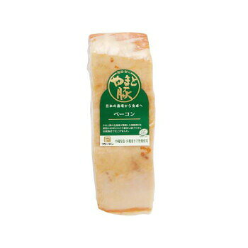 フリーデン　やまと豚　ベーコン ブロック　300g　3個セット 04008053