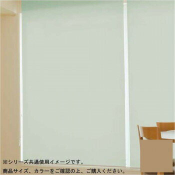 タチカワ ファーステージ 防炎ロールスクリーン ダークブラウン 幅165×高さ180cm プルコード式 TR-1048 モカ