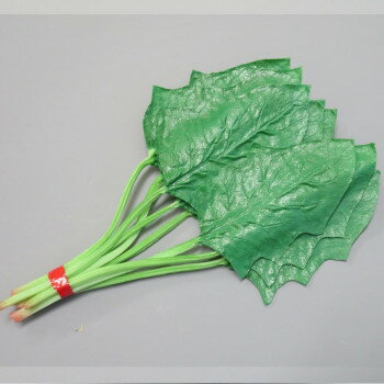 日本職人が作る 食品サンプル ほうれん草 IP-250