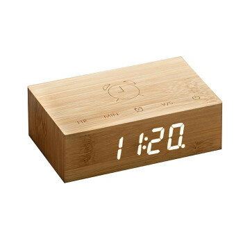 Gingko �ե�åץ���å������å� �Х�֡� GNK030013