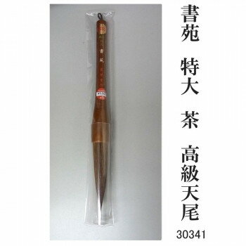 30341 書苑 特大 茶 高級天尾 条幅 カタメ