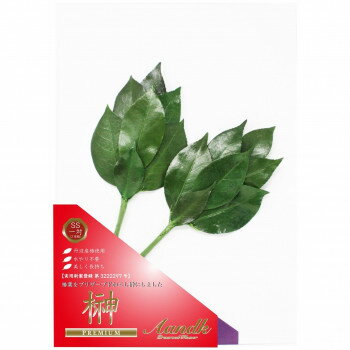 A＆K 日本製プリザーブド プレミアム榊 丹波産高級椿葉使用 SSサイズ C-001SS