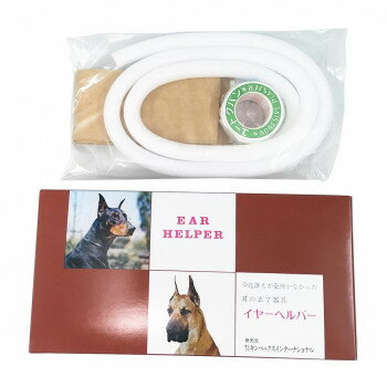 䡼إѡ ɡ٥ޥ(Ω) 000158