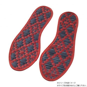 おすすめ(AZ)い草を使用したインソールです。い草には消臭抗菌機能があります。さらりとした触り心地でむれにくい。※お使いのブラウザ・モニター等の環境により、実際の商品と多少色が異なって見える場合がございます。※北海道、沖縄、離島は、別途送料が発生致します。※こちらの商品は「メール便(ポスト投函)」でのお届けになります、そのため、お届け日時のご指定は不可となっております。サイズ(約)22.5cm個装サイズ：30×10×1cm重量60g個装重量：200g素材・材質表地:い草裏面:不織布生産国日本fk094igrjs