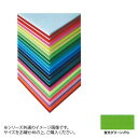 ARTE(アルテ) ニューカラーボード デザインボード 5mm B1(728×1030mm) 蛍光グリーン 5CB-B1-FG