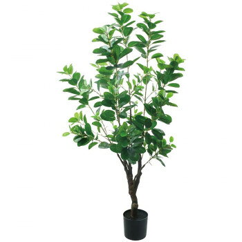インテリアグリーン存在感のある大型人工観葉植物です。リビングや玄関など、お部屋の雰囲気を変え美しい空間演出に最適です。※一つ一つ手作業で作成している為、表記サイズや形状が写真と異なる場合がございます。※ご使用しているモニターやディスプレイにより、実商品と色味などが異なる場合がございます。サイズ全長115×幅50cm個装サイズ：115×50×14cm重量個装重量：2400g素材・材質PE、鉄、PS、PP、セメント仕様鉢:Φ12.5×H11.5cm生産国中国fk094igrjs