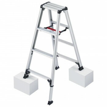 �ӷڡ��������̼���(���ѵ�Ω)��RZS-12a