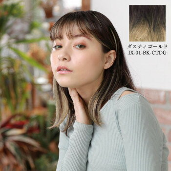 プリシラ めちゃ楽インナーエクステ 耐熱 ダスティゴールド IX-01-BK-CTDG