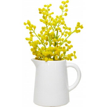 グリーンピッチャーPL ミモザ 164173