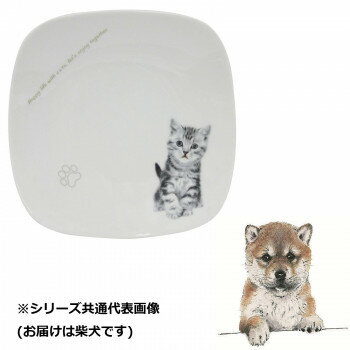 わんコレスクエアプレート柴犬wa-...