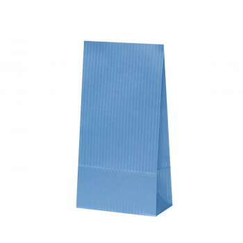 ハイバッグ　HS2　クリスタルブルー 100枚 XZK00531(3.0)