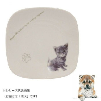 わんコレスクエアプレート柴犬wa-...