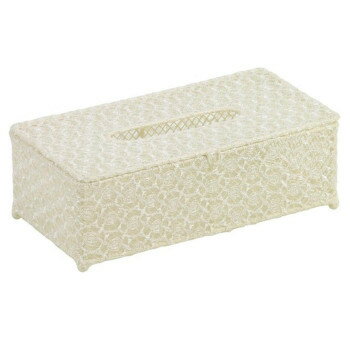 エスジーワンダーゾーン オーガンジーティッシュBOX 517-058A