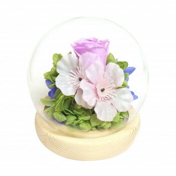 お供え用(仏花)　四季スフィア　プリザーブドフラワー　弥生　サクラ　C38303