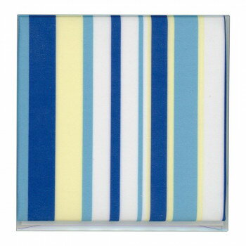 メガネ拭き ザヴィーナミニマックス MX300 SILKINA 2 18623