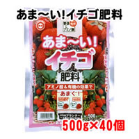 東商　あま〜いイチゴ肥料　500g×40個