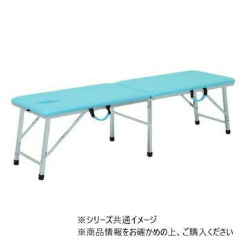 Foldable Bed - 高田ベッド製作所 有孔ムーブベッド (折りたたみ式ポータブルベッド) 幅50×長さ180×高さ55cm スカイブルー TB-1007U