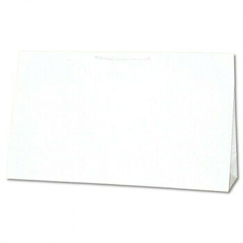 ���⥸�� HEIKO(�إ�����) 006442401 �������㡼��Хå� BR-2 10��