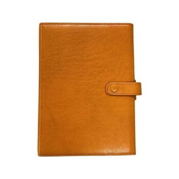 ASHFORD アシュフォード ヘリテイジ BIBLE 25mm コーチマン ラスタ 7273-033