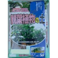 室内園芸に合わせた、臭いの少ない清潔な土!ピートモス・バーミ・パーライト・赤玉土等をMIXした土で、軽量で清潔なため室内でも使えます。ポトス・シンゴニウム・デフェンバキア・アジアンタム・パキラ・ホンコン・ツデー・マッサンなど観葉全般に使えます!サイズ34cm×23cm×6cm(1袋あたり)個装サイズ：34×46×30cm重量2000g(1袋あたり)個装重量：20000g成分専用土セット内容本体×10袋製造国日本室内園芸に合わせた、臭いの少ない清潔な土! ピートモス・バーミ・パーライト・赤玉土等をMIXした土で、軽量で清潔なため室内でも使えます。ポトス・シンゴニウム・デフェンバキア・アジアンタム・パキラ・ホンコン・ツデー・マッサンなど観葉全般に使えます!