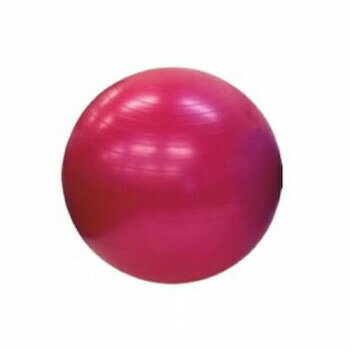 バランスボールリハビリ運動からアスリートの筋力保持まで幅広く活躍する定番商品です。身体の歪みや姿勢矯正にも役立ち気楽に楽しみながらトレーニングができます。サイズ直径55cm個装サイズ：30×30×20cm重量個装重量：3000g付属品専用エ...