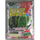 2-36 あかぎ園芸 サンスベリア・金のなる木の土 5L 10袋