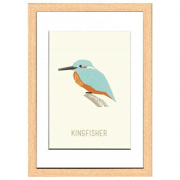 North Birds Kingfisher アートパネル ZNB-53437