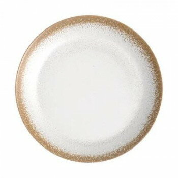 アボード メラミン樹脂 カーメル リアクティブ ディナープレート 27cm DN24084982