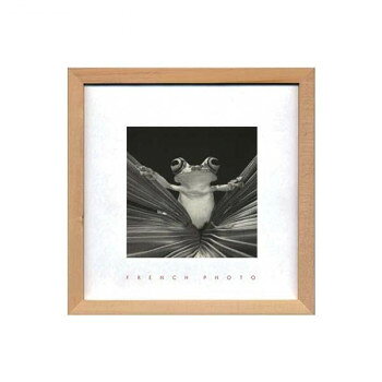 French Photography フォトアート Tree Frog Queen ZFP-51922