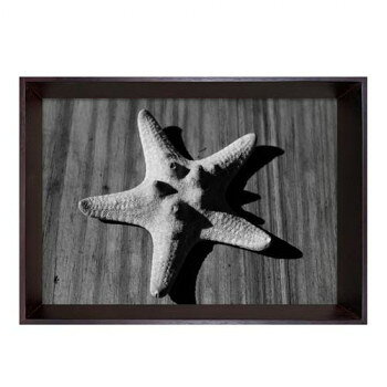 Photography art Star fish アートパネル IBC-53404
