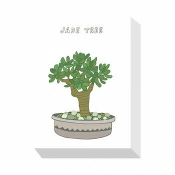 Home Plants JADE TREE アートパネル ZPA-53541