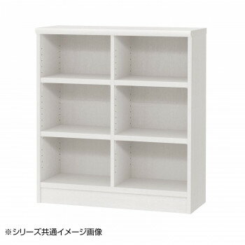 TAIYO OWR オーダーワイドラック 9090レギュラー ホワイトウッド(WW)