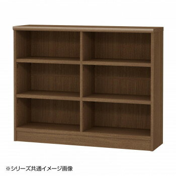 TAIYO OWR オーダーワイドラック 90120レギュラー ウォールナットブラウン(WB)