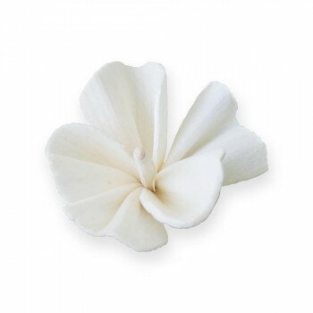 ソラージュ ナデシコ 8輪入 36Z001S0360